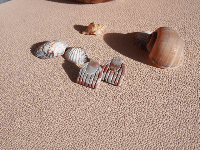 NACRE COQUILLE MARRON