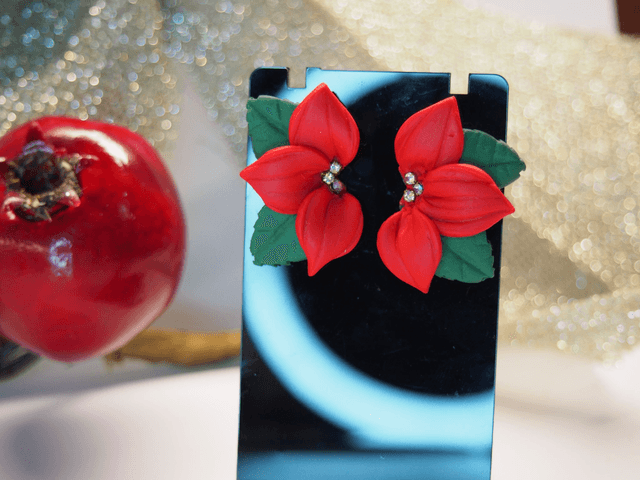 NOEL / COFFRET FLEUR DE NOEL