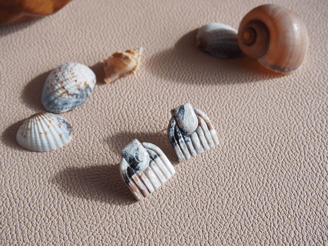 NACRE COQUILLE